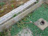 image of grave number 931340